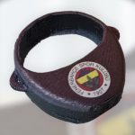 Fenerbahçe Arması - Kanso 2